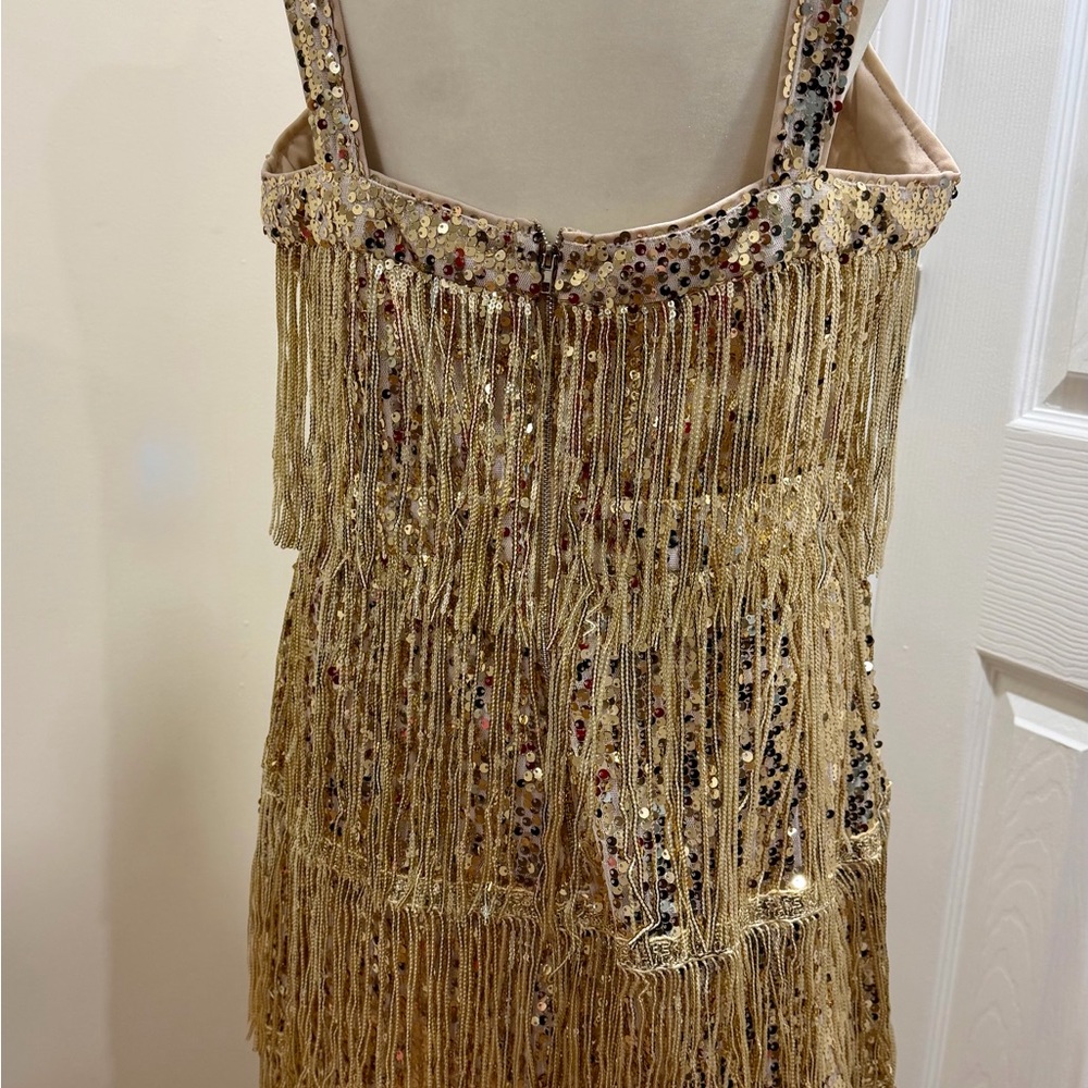 Elegant Gold Fringe Dress